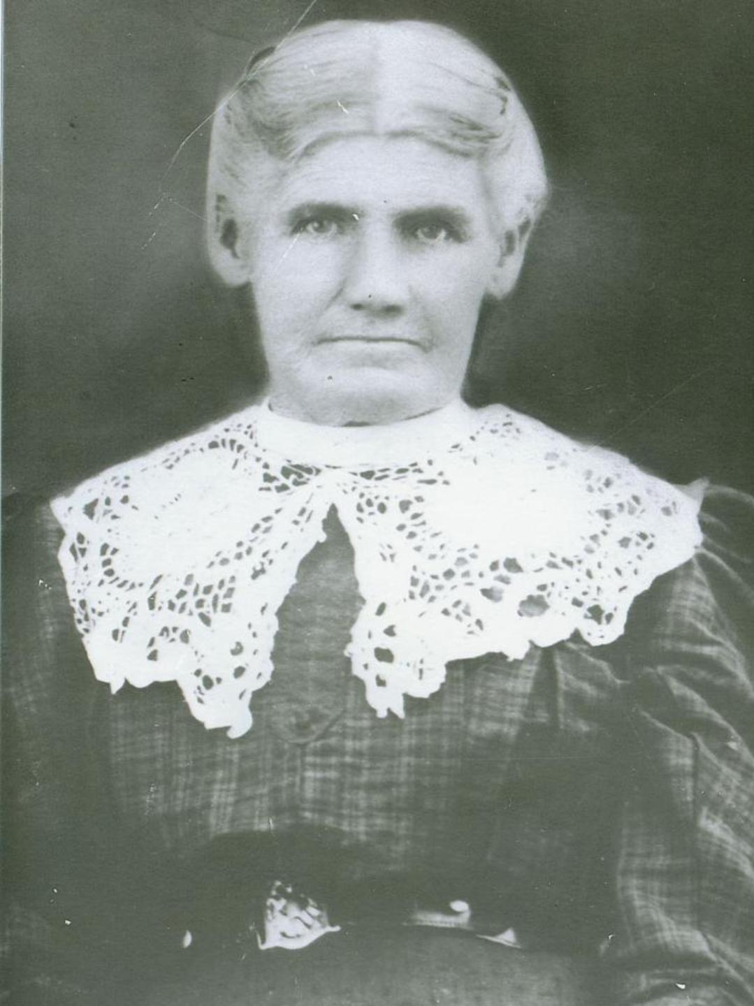 Sarah Elizabeth Smith (1849 - 1913) Profile